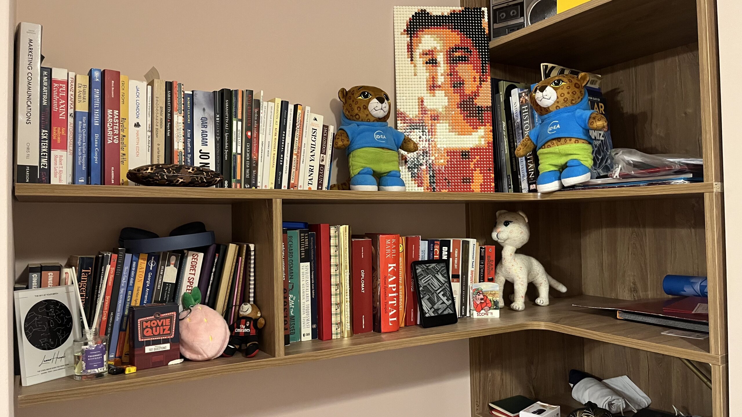 Fərdiləşdirilmiş LEGO Portreti – Yığma Set - Image 2